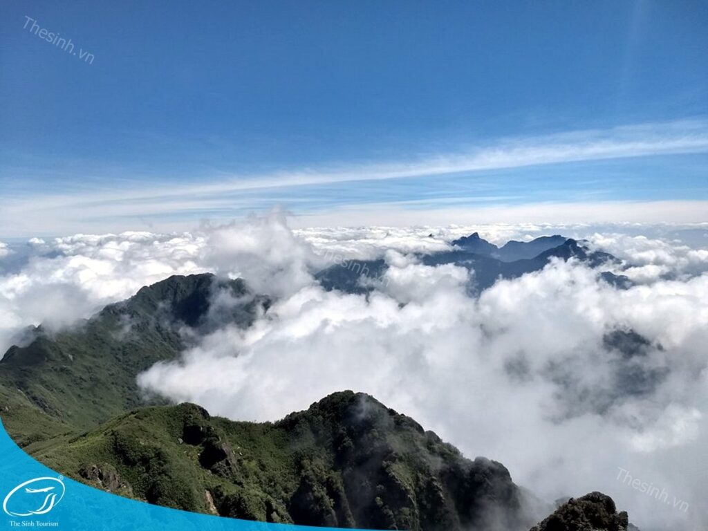 Đặt Tour Du Lịch Sapa Giá Rẻ: Combo Và Hướng Dẫn Chi Tiết 20 Đặt tour Sapa Ninh Bình Hạ Long tại Thế Sinh Tourist