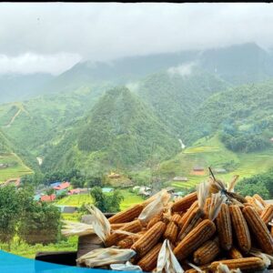tour du lich sapa tour du lich sa pa du lich the sinh tourist the sinh tourism sinhcafe travel 081 20240510 142058