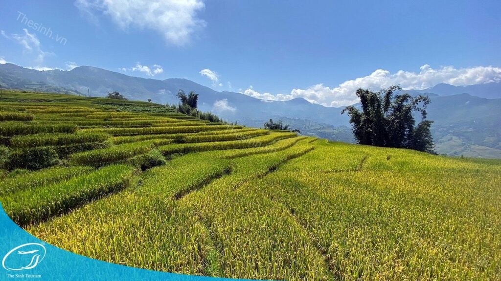 Đi du lịch Sapa 2 ngày 1 đêm cùng Thế Sinh Tourist