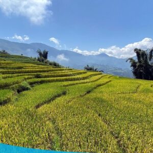 tour du lich sapa tour du lich sa pa du lich the sinh tourist the sinh tourism sinhcafe travel 089 20240510 142059