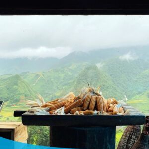 tour du lich sapa tour du lich sa pa du lich the sinh tourist the sinh tourism sinhcafe travel 090 20240510 142059
