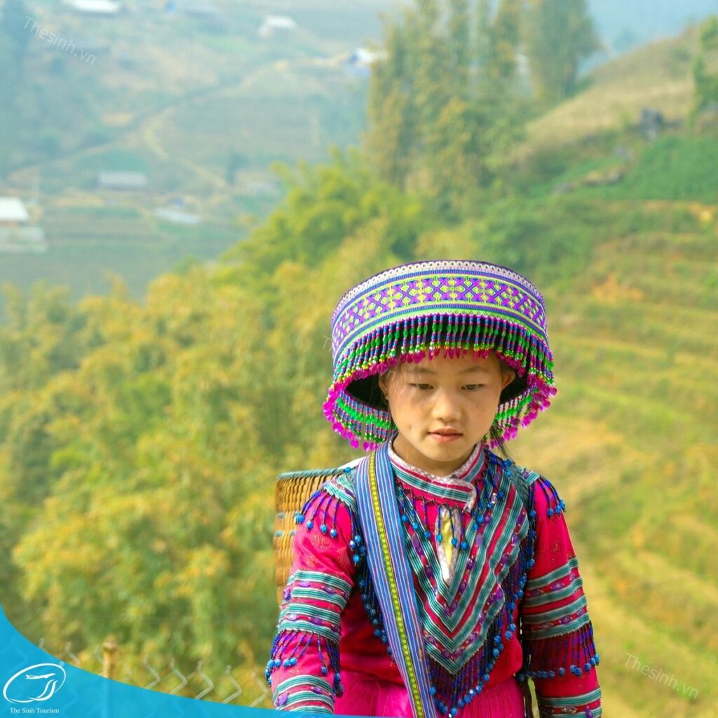 Tour Du Lịch Sapa Từ Hà Nội: Lịch Trình Và Giá Rẻ Nhất 11 tour du lich sapa tour du lich sa pa du lich the sinh tourist the sinh tourism sinhcafe travel 091 20240510 142059