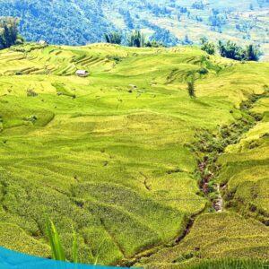 tour du lich sapa tour du lich sa pa du lich the sinh tourist the sinh tourism sinhcafe travel 093 20240510 142059