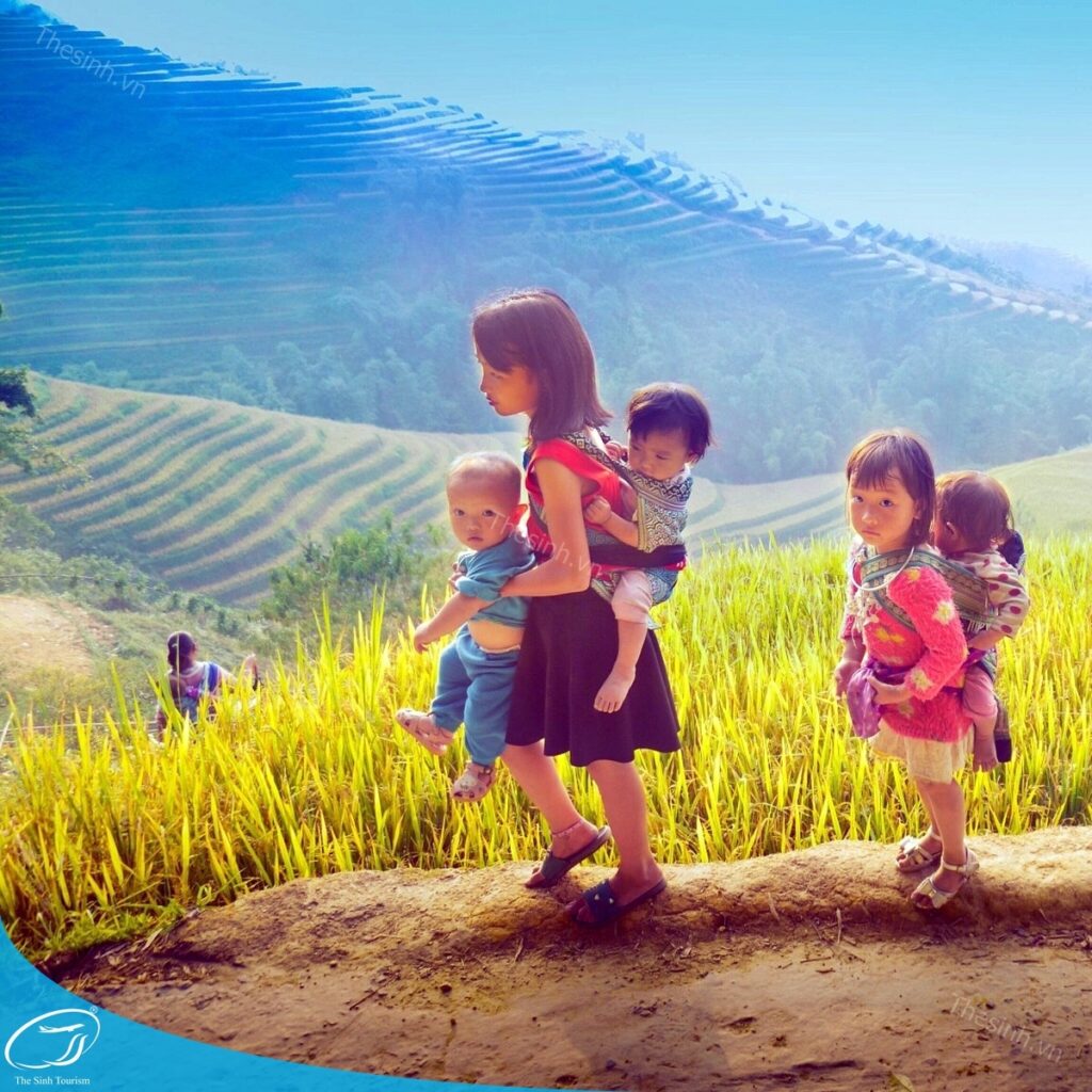 Đặt tour Sapa 2 ngày 3 đêm tàu hỏa tại thesinh.vn
