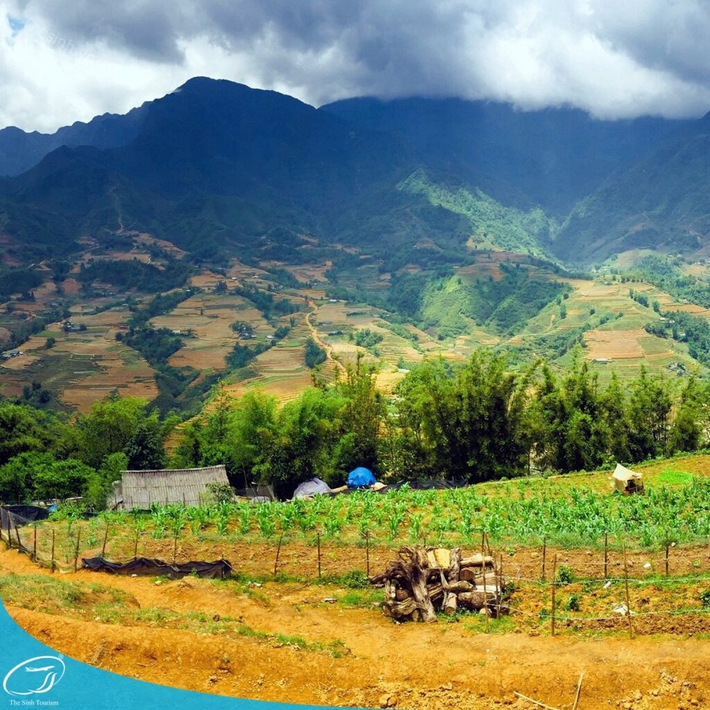 Tour Du Lịch Sapa Từ Hà Nội: Lịch Trình Và Giá Rẻ Nhất 12 tour du lich sapa tour du lich sa pa du lich the sinh tourist the sinh tourism sinhcafe travel 099 20240510 142059