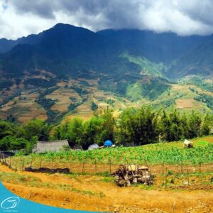 tour du lich sapa tour du lich sa pa du lich the sinh tourist the sinh tourism sinhcafe travel 099 20240510 142059