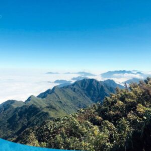tour du lich sapa tour du lich sa pa du lich the sinh tourist the sinh tourism sinhcafe travel 101 20240510 142059