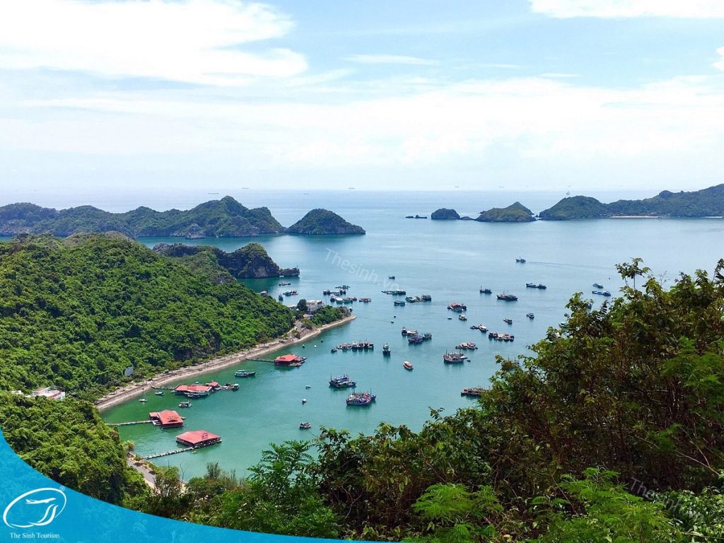 Tour Hạ Long Cát Bà - Hành Trình Kết Hợp Vịnh Biển Và Đảo Hoang Sơ 2 Du lịch Cát Bà - Đặt tour Hạ Long Cát Bà cùng Thế Sinh Tourist