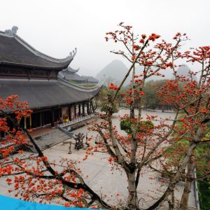 tour du lich chua tam chuc du lich the sinh tourist the sinh tourism sinhcafe travel 017 20240510 212830