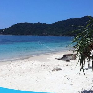 Tour Cù Lao Chàm 1 ngày