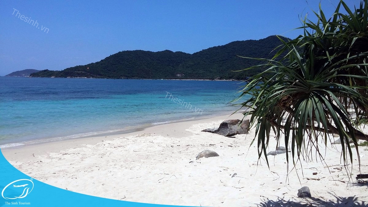 Tour Cù Lao Chàm 1 ngày