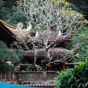 tour du lich dia tang phi lai tu du lich the sinh tourist the sinh tourism sinhcafe travel 002 20240510 212704