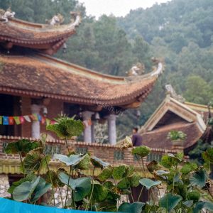 tour du lich dia tang phi lai tu du lich the sinh tourist the sinh tourism sinhcafe travel 015 20240510 212706