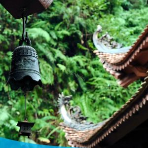 tour du lich dia tang phi lai tu du lich the sinh tourist the sinh tourism sinhcafe travel 020 20240510 212706