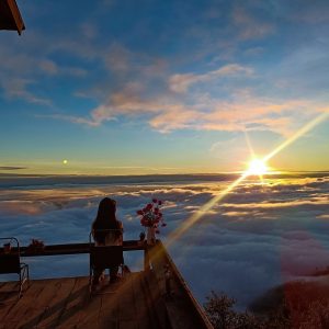 tour du lich moc chau ta xua the sinh tourist sinh cafe travel the sinh tourism 013 20251108