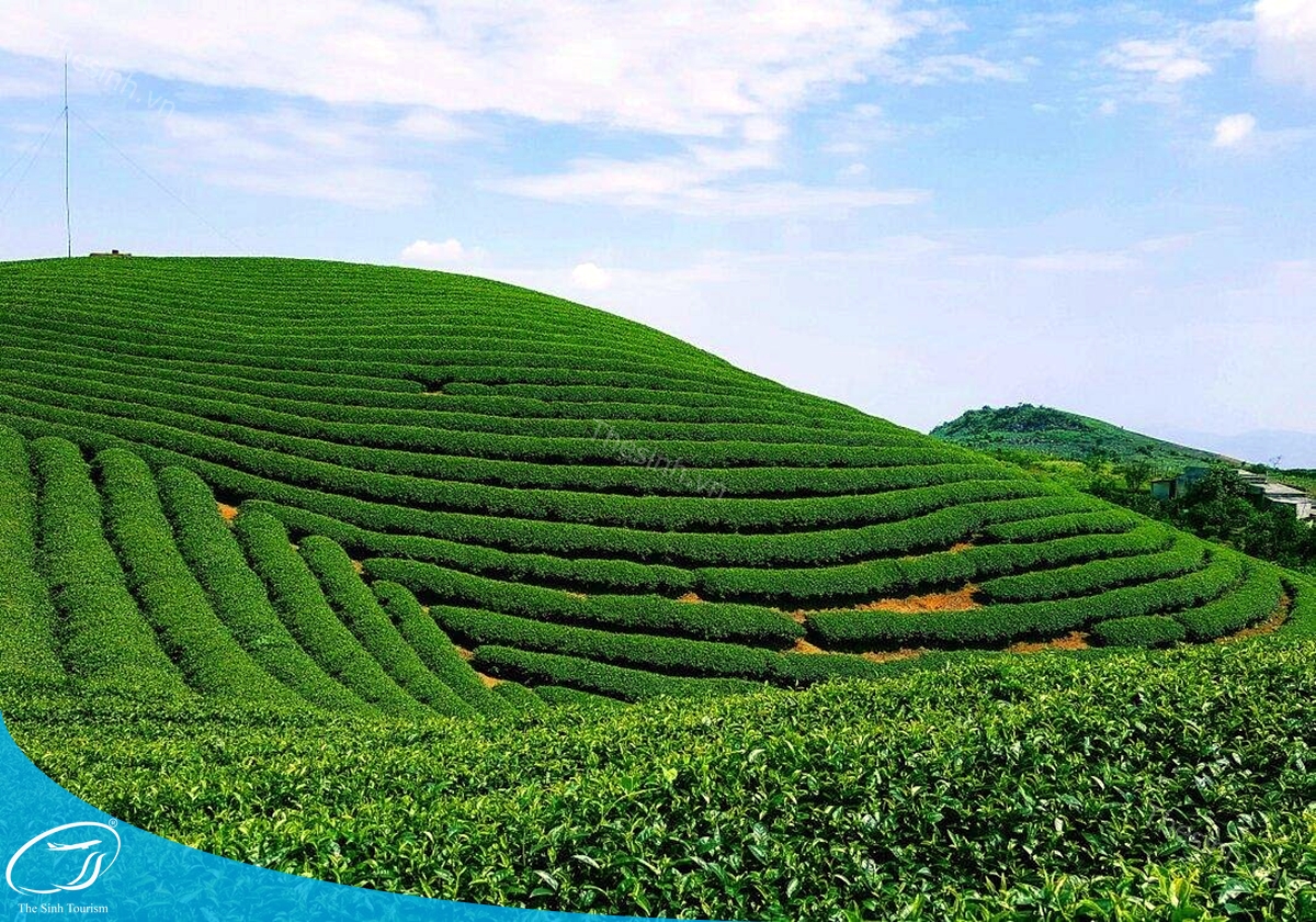 TOUR TÂY BẮC 5N4Đ (MỘC CHÂU - MAI CHÂU - SAPA - ĐIỆN BIÊN - LAI CHÂU) 48 Tour Tây Bắc 5n4đ