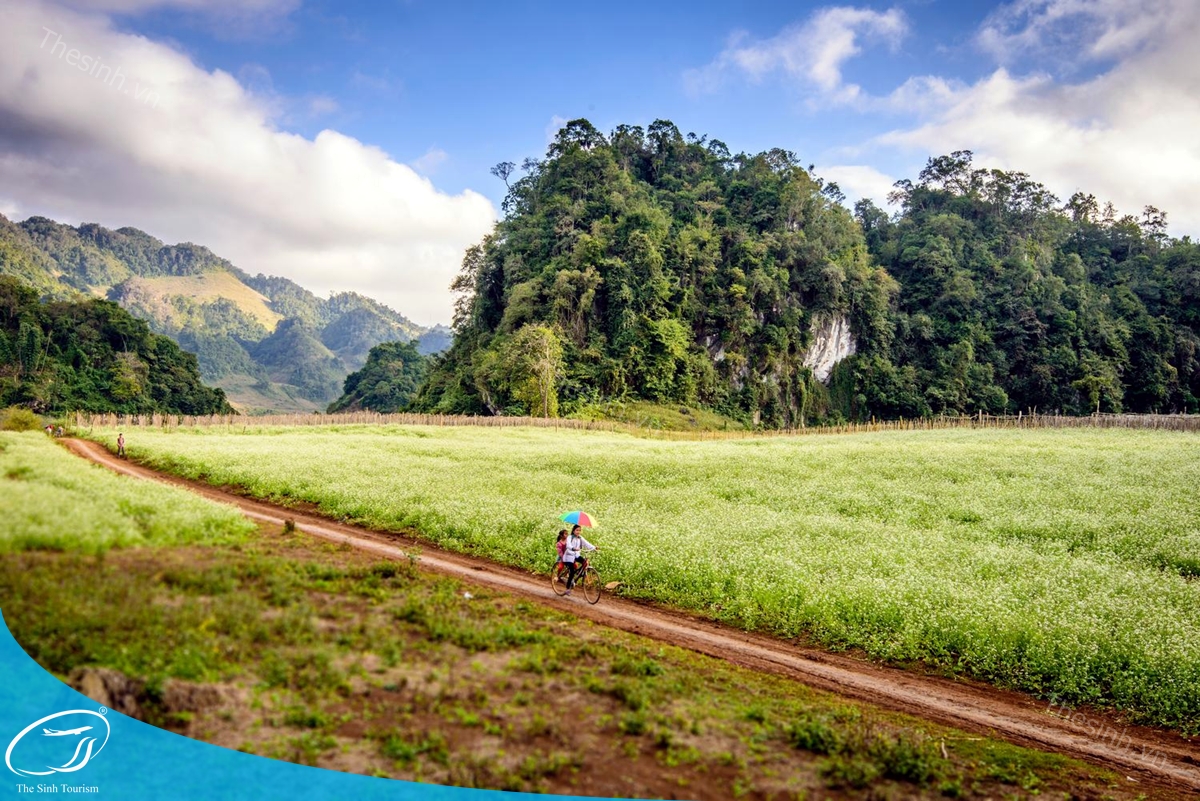 tour-du-lich-moc-chau-the-sinh-tourism-the-sinh-tourist-009-20240520-174430 tour du lich moc chau the sinh tourism the sinh tourist 009 20240520 174430