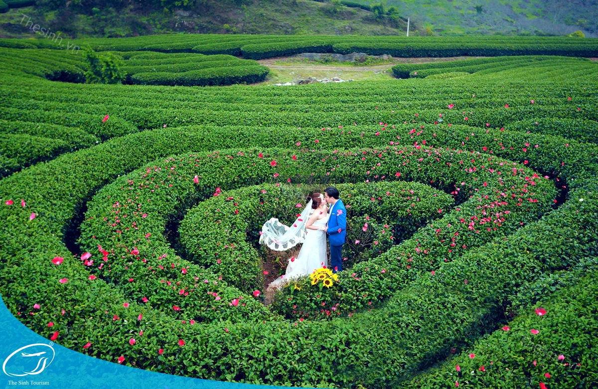 tour-du-lich-moc-chau-the-sinh-tourism-the-sinh-tourist-011-20240520-174431 tour du lich moc chau the sinh tourism the sinh tourist 011 20240520 174431