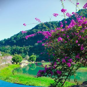 TOUR HCM - HÀ NỘI CITY - VÒNG CUNG TÂY BẮC 6N5Đ 57 tour du lich moc chau the sinh tourism the sinh tourist 049 20240520 174434