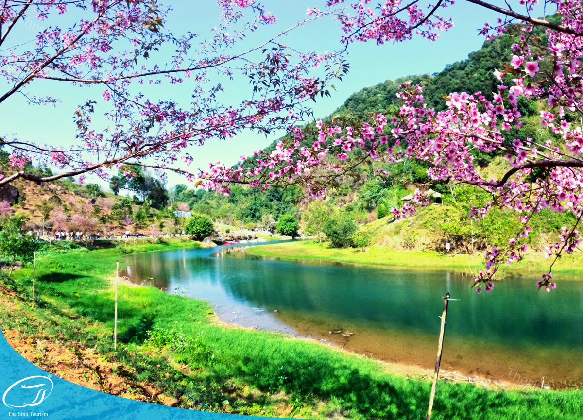 DCIM100GOPROGOPR1468.JPG tour du lich moc chau the sinh tourism the sinh tourist 051 20240520 174435