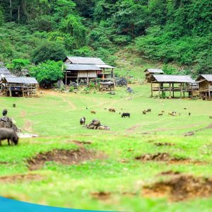 TOUR HCM - HÀ NỘI CITY - VÒNG CUNG TÂY BẮC 6N5Đ 50 tour du lich moc chau the sinh tourism the sinh tourist 086 20240520 174438