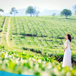 TOUR HCM - HÀ NỘI CITY - VÒNG CUNG TÂY BẮC 6N5Đ 47 tour du lich moc chau the sinh tourism the sinh tourist 091 20240520 174439
