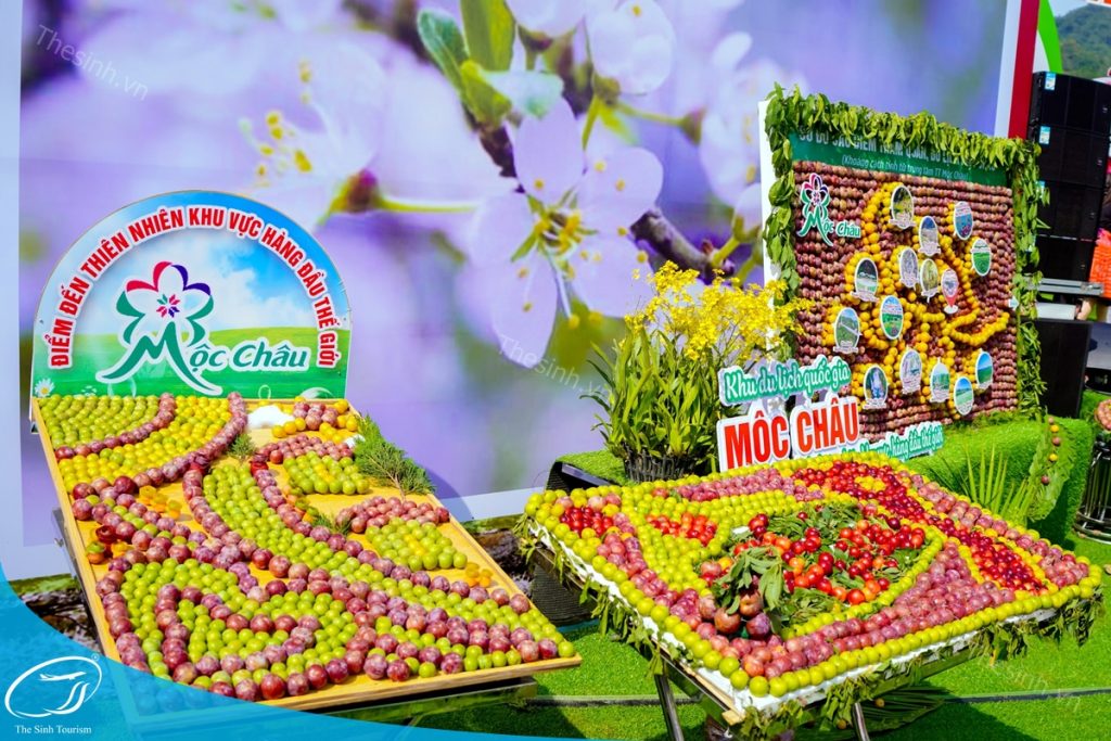 TOUR TÂY BẮC 5N4Đ (MỘC CHÂU - MAI CHÂU - SAPA - ĐIỆN BIÊN - LAI CHÂU) 47 tour du lich moc chau the sinh tourism the sinh tourist 093 20240520 174439