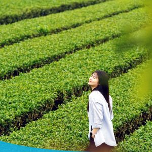 TOUR HCM - HÀ NỘI CITY - VÒNG CUNG TÂY BẮC 6N5Đ 45 tour du lich moc chau the sinh tourism the sinh tourist 103 20240520 174440
