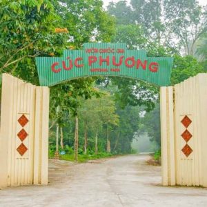 Du Lịch Tràng An Ninh Bình - Khám Phá Non Nước Hữu Tình Và Kinh Nghiệm Chi Tiết 8 Ninh Bình 2 Ngày: Hoa lư - Tràng An/ Tam Cốc - Hang Múa - Vân Long - Cúc Phương
