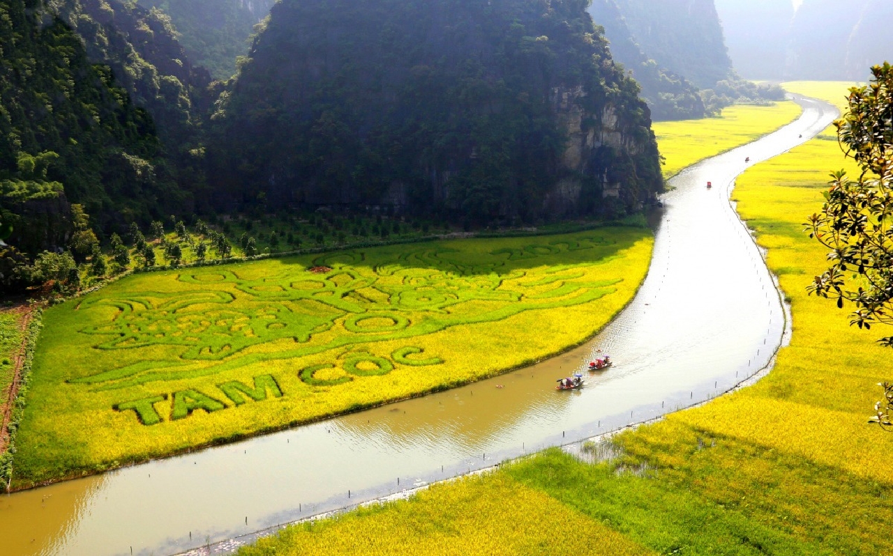 du-lich-ninh-binh-du-lich-hoa-lu-tam-coc-du-lich-trang-an-the-sinh-tourist-002-20240828 Ảnh sưu tầm - Du lịch Ninh Bình 2 ngày 1 đêm