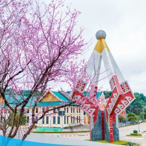 HÀ NỘI - LÀO ( NA MÈO - VIÊNG XAY - SẦM NƯA ) 2N1Đ