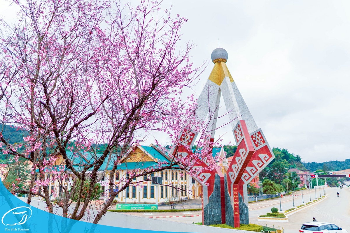 tour du lich lao na meo vieng xau sam nua the sinh tourist the sinh tourism sinh cafe travel 002 20250211