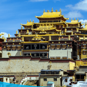 tour du lich le giang shangri la the sinh tourist the sinh tourism sinh cafe travel 005 20250211