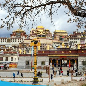 tour du lich le giang shangri la the sinh tourist the sinh tourism sinh cafe travel 015 20250211