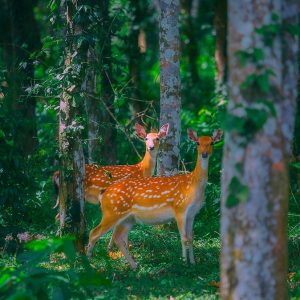 tour du lich ninh binh vuon quoc gia cuc phuong the sinh tourist sinh cafe travel the sinh tourist 002 20251227