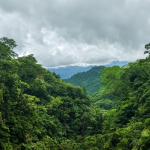 tour du lich ninh binh vuon quoc gia cuc phuong the sinh tourist sinh cafe travel the sinh tourist 005 20251227