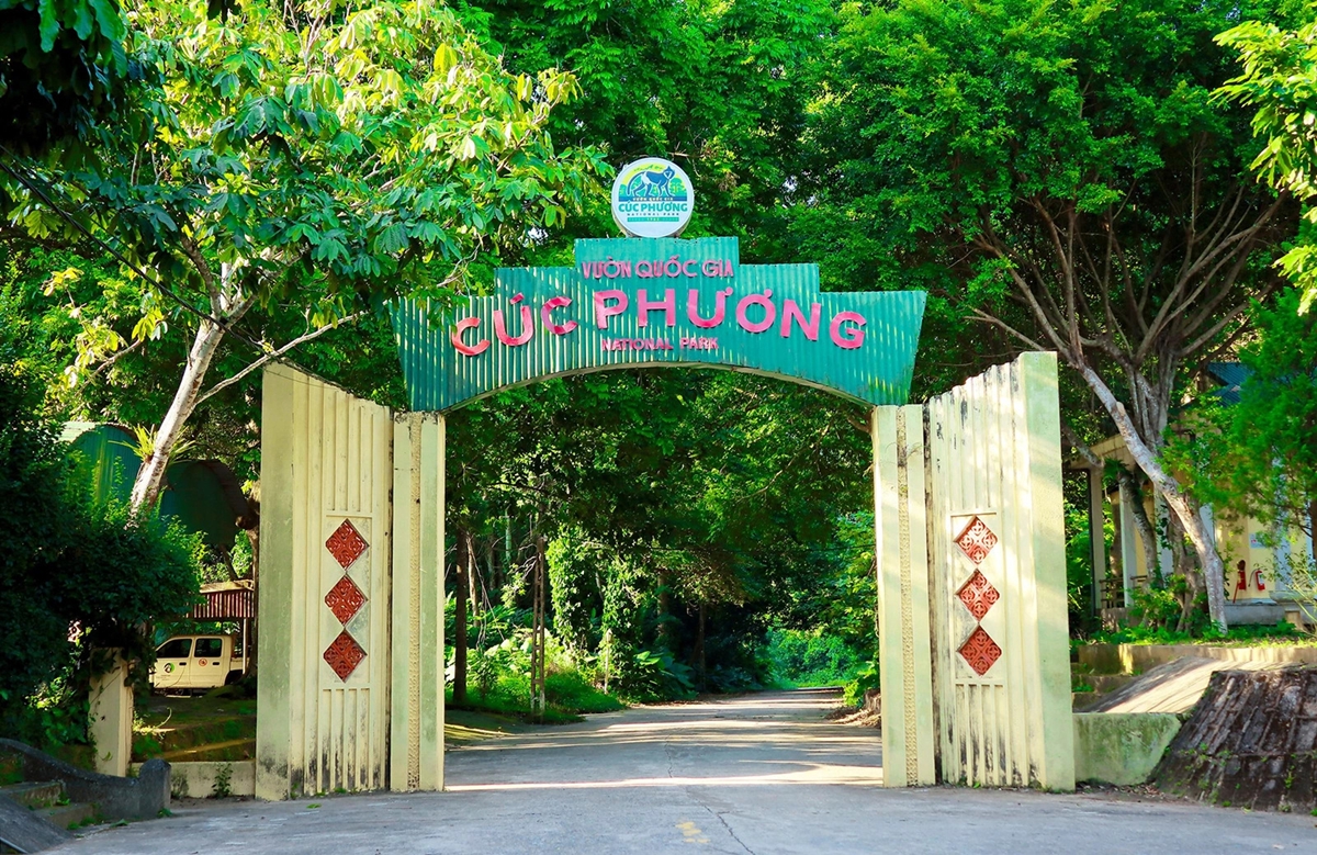 tour du lich ninh binh vuon quoc gia cuc phuong the sinh tourist sinh cafe travel the sinh tourist 1 001 20251227