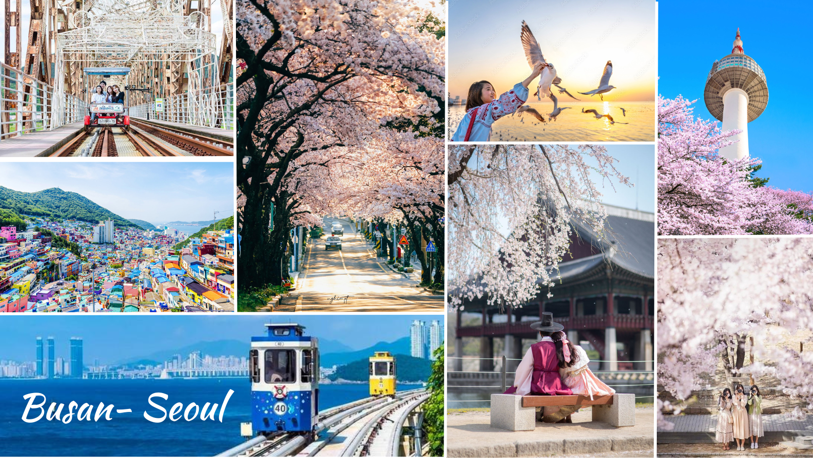 Hà Nội - Hàn Quốc 6N5Đ ( BUSAN - SEOUL - ĐẢO NAMI - INCHEON - NGẮM HOA ANH ĐÀO) 1 1 1