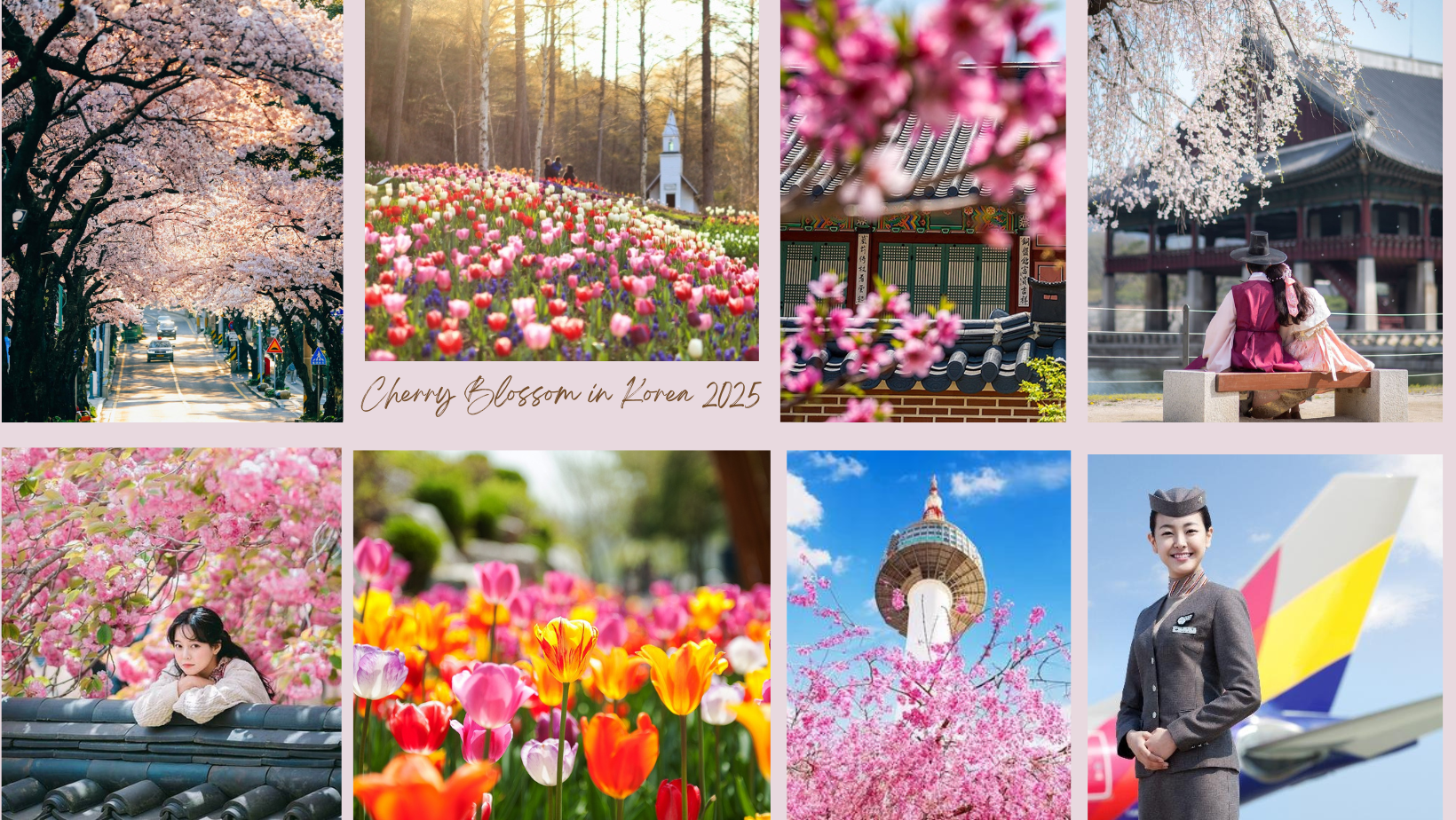 Hà Nội - Hàn Quốc 5N4Đ ( SEOUL-NAMI- MORNING CALM- EVERLAND –CÔNG VIÊN YEOUIDO) 1 1 3