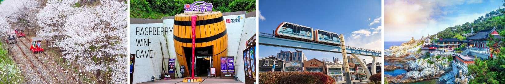 Hà Nội - Hàn Quốc 6N5Đ ( BUSAN - SEOUL - ĐẢO NAMI - INCHEON - NGẮM HOA ANH ĐÀO) 2 2 1