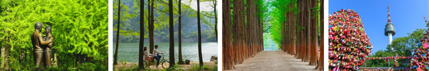 Hà Nội - Hàn Quốc 5N4Đ ( SEOUL – NAMI – EVERLAND – THƯ VIỆN STARFIELD – PAINTER SHOW) 3 2