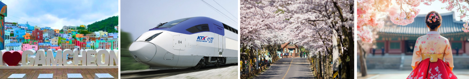 Hà Nội - Hàn Quốc 6N5Đ ( BUSAN - SEOUL - ĐẢO NAMI - INCHEON - NGẮM HOA ANH ĐÀO) 3 3 1