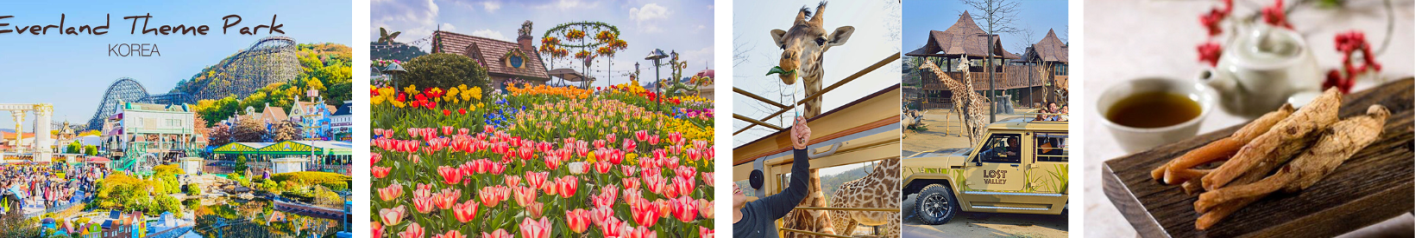 Hà Nội - Hàn Quốc 5N4Đ ( SEOUL-NAMI- MORNING CALM- EVERLAND –CÔNG VIÊN YEOUIDO) 3 3 3