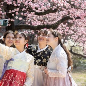 Hà Nội - Hàn Quốc 6N5Đ ( BUSAN - SEOUL - ĐẢO NAMI - INCHEON - NGẮM HOA ANH ĐÀO)