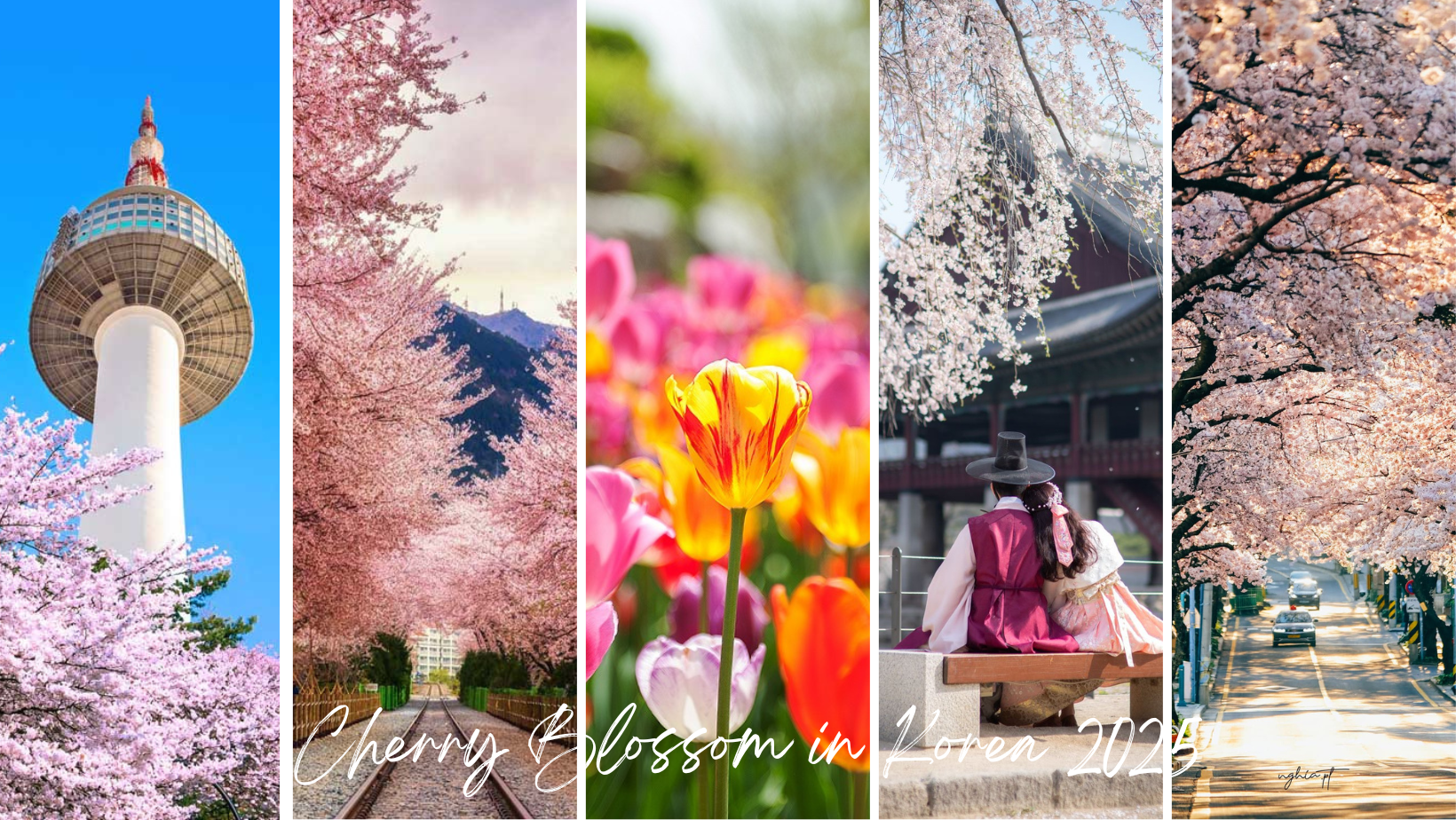 Hà Nội - Hàn Quốc 5N4Đ ( SEOUL-NAMI- EVERLAND –CÔNG VIÊN YEOUIDO) 1 A 2