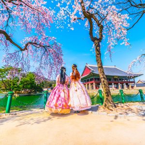 Hà Nội - Hàn Quốc 5N4Đ ( SEOUL – NAMI – EVERLAND – THƯ VIỆN STARFIELD – PAINTER SHOW)