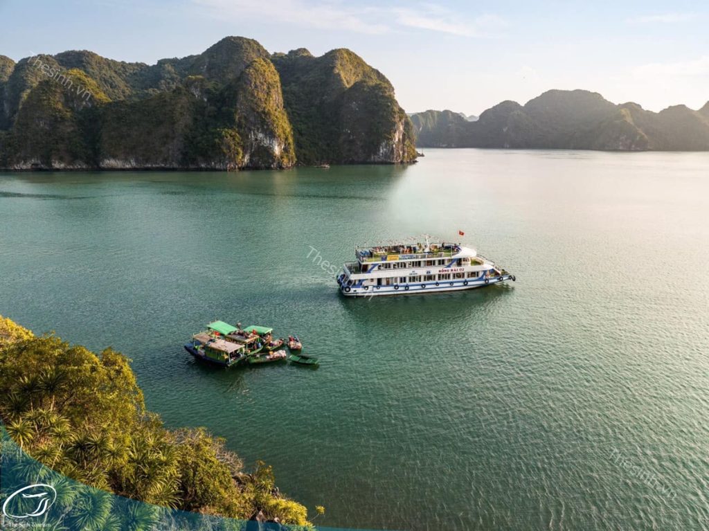 Tour Hạ Long 1 ngày - Lịch trình, giá cả và kinh nghiệm chi tiết 12 Đi tour Hạ Long với Thế Sinh Tourist
