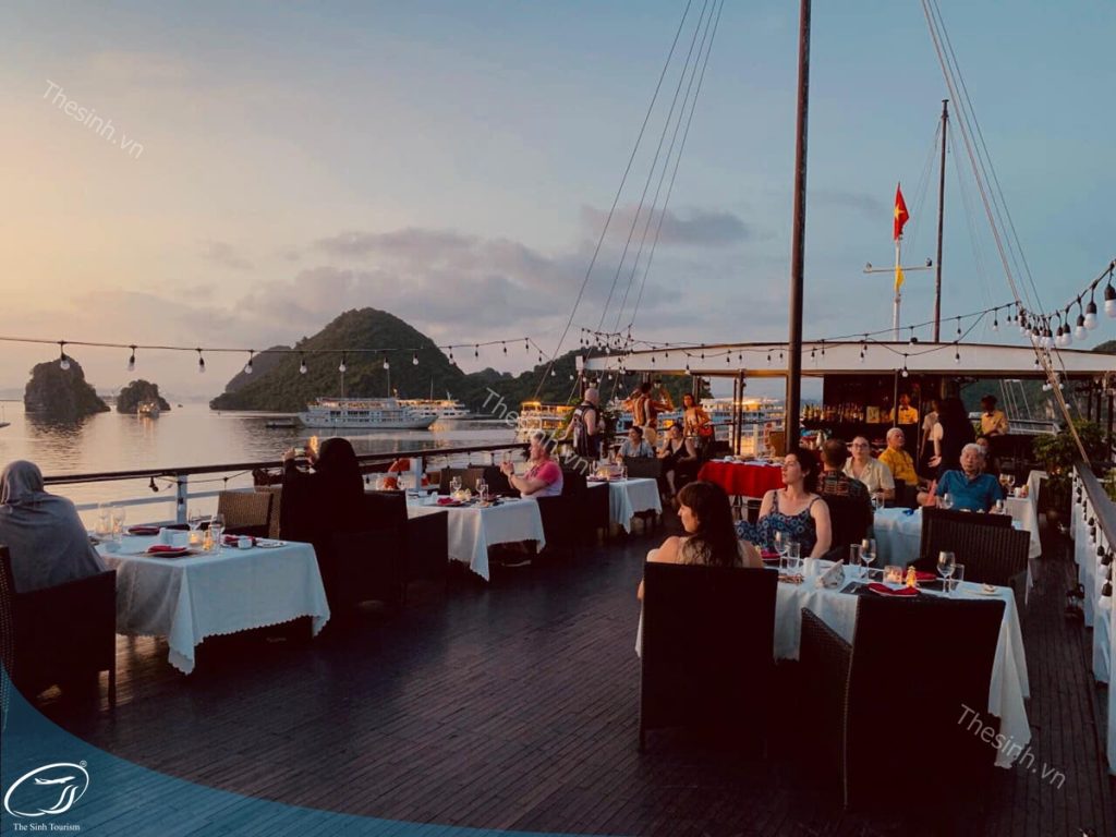 Du Lịch Du Thuyền Hạ Long - Trải Nghiệm Không Thể Bỏ Qua 10 du lich the sinh the sinh tourist du lich ha long tour ha long 024 20250725