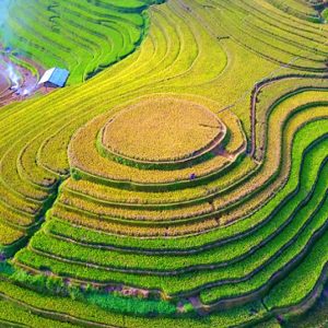 Kinh nghiệm du lịch Mộc Châu từ A–Z: Lịch trình, điểm đến đẹp nhất 27 MÙ CANG CHẢI -TRẠM TẤU SUỐI KHOÁNG NÓNG - ĐỒI CHÈ THANH SƠN 3 NGÀY 2 ĐÊM