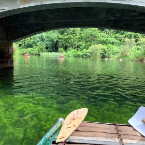 dat tour di trang an du lich ninh binh the sinh tourism the sinh tourist 004 20240827 1